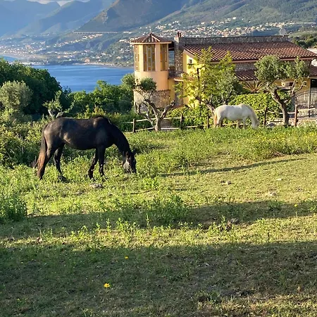 Casa Limone شقة سان نيكولا أرسيلا